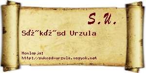 Sükösd Urzula névjegykártya
